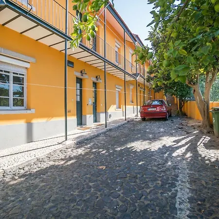 Historic Vila Gomes Central Oasis
